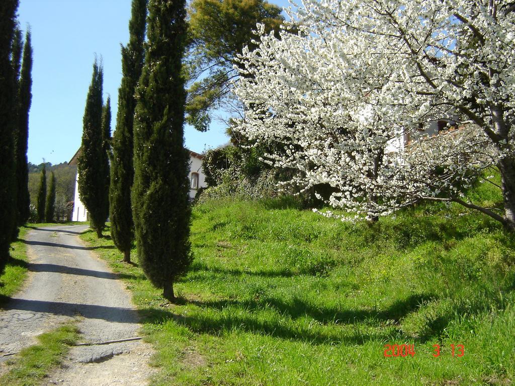 بيسيا Podere"Sulle Soglie Del Bosco" Appartament And Rooms المظهر الخارجي الصورة