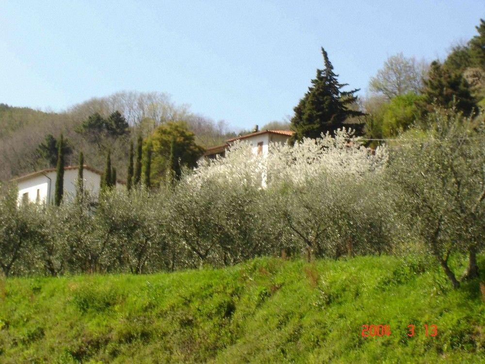 بيسيا Podere"Sulle Soglie Del Bosco" Appartament And Rooms المظهر الخارجي الصورة